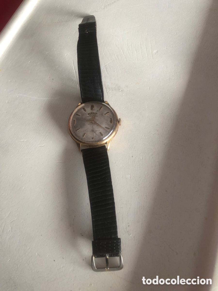 Relojes de pulsera: Reloj dogma funcionando - Foto 13
