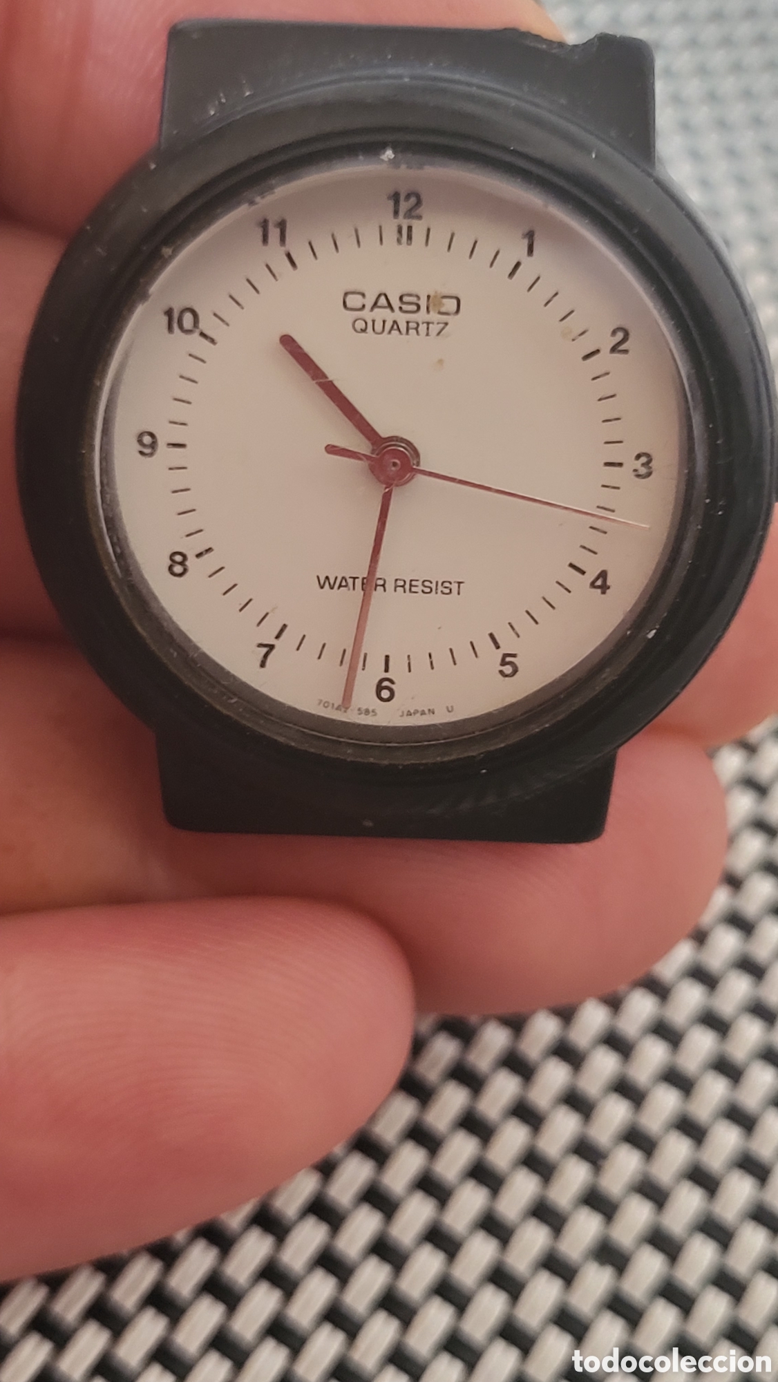 Relojes - Casio: Reloj pulsera quartz Se&ntilde;ora Casio