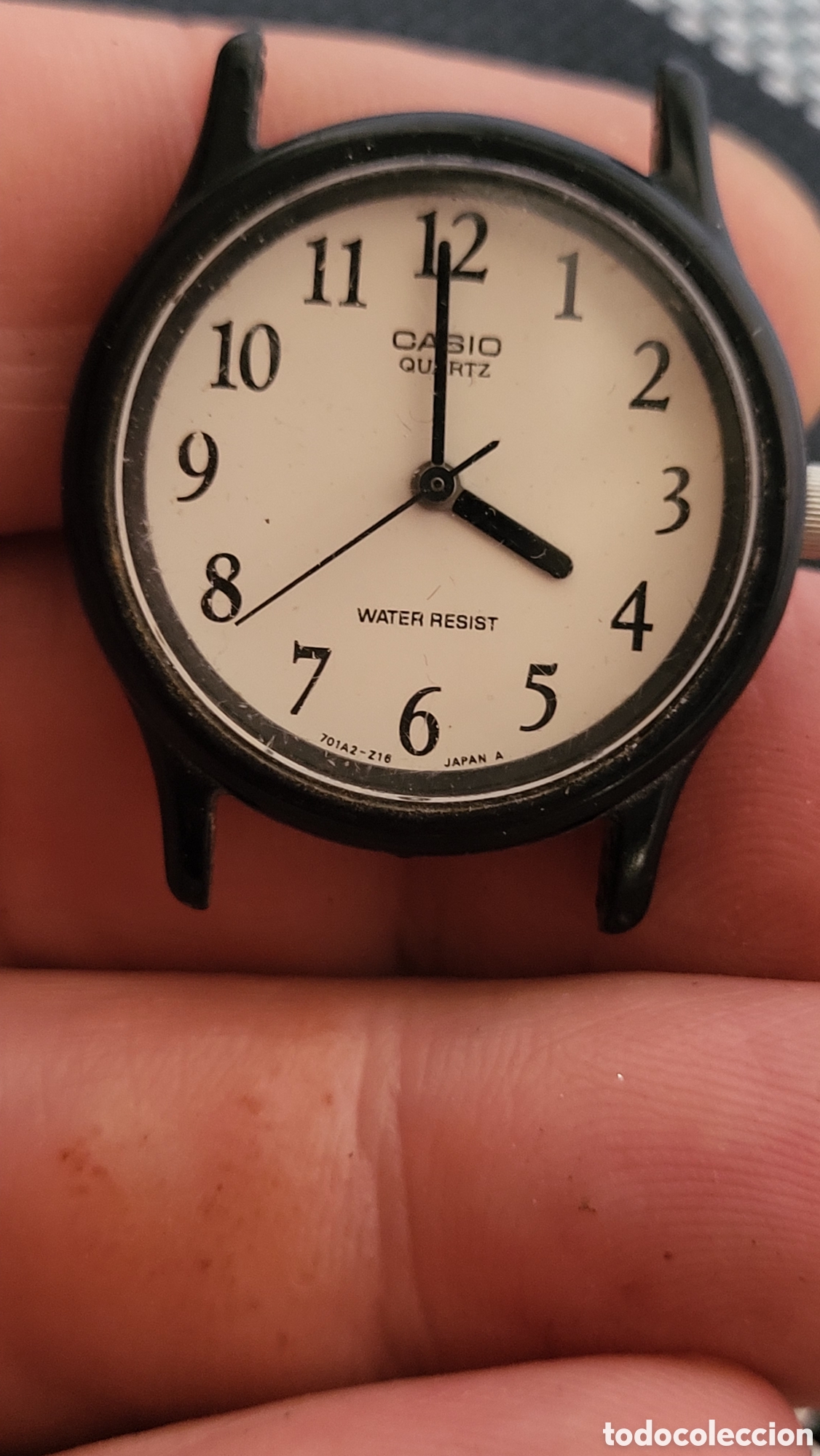 Relojes - Casio: Reloj pulsera quartz Se&ntilde;ora Casio
