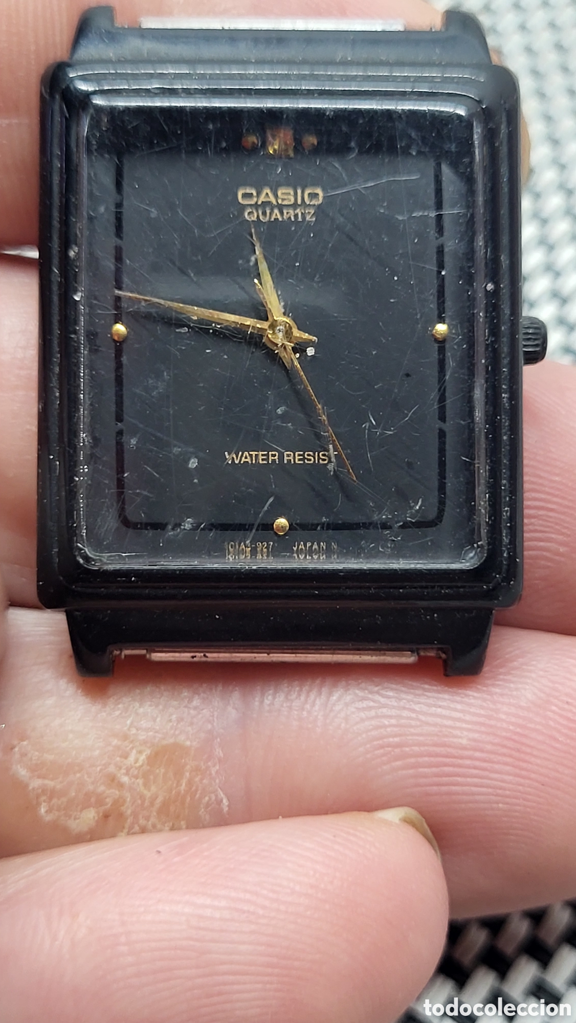 Relojes - Casio: Reloj pulsera quartz Se&ntilde;ora Casio - Foto 1