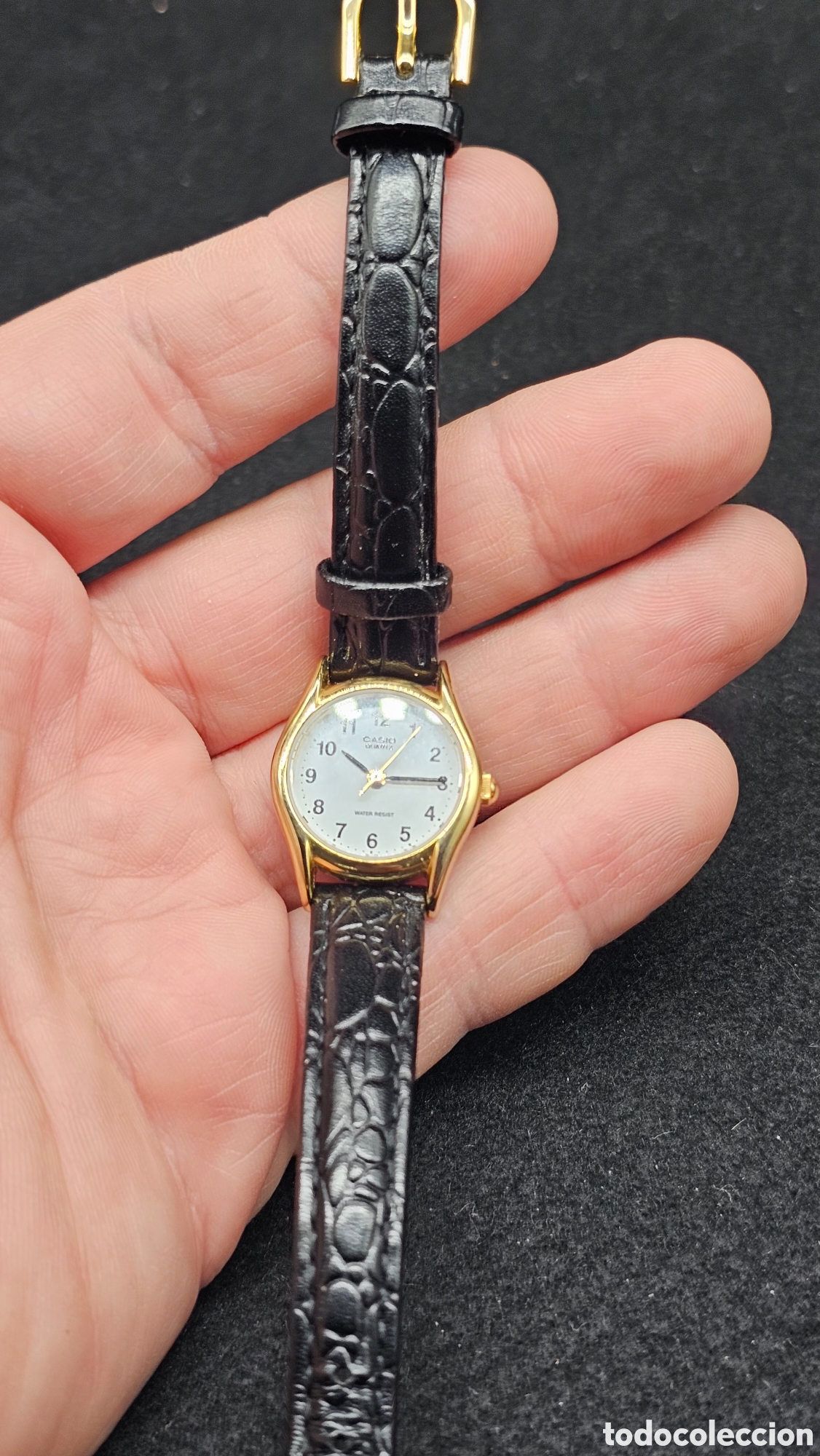 Relojes - Casio: Reloj Casio de mujer
