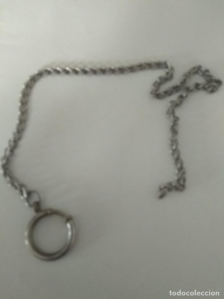 Herramientas de relojes: Leontina - Foto 1