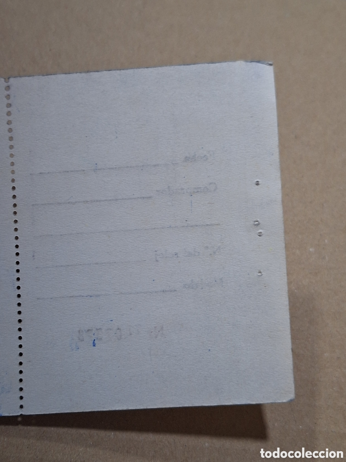 Herramientas de relojes: Certificado de garant&iacute;a reloj Orient . - Foto 3