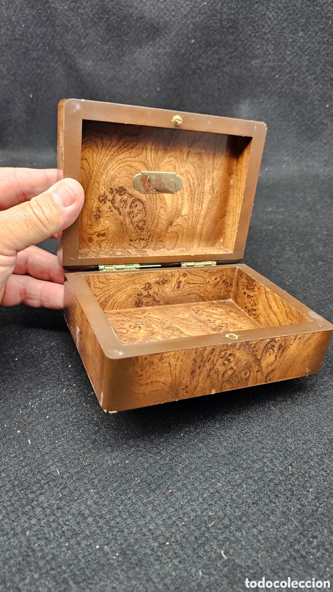 Herramientas de relojes: Caja de reloj Radiant