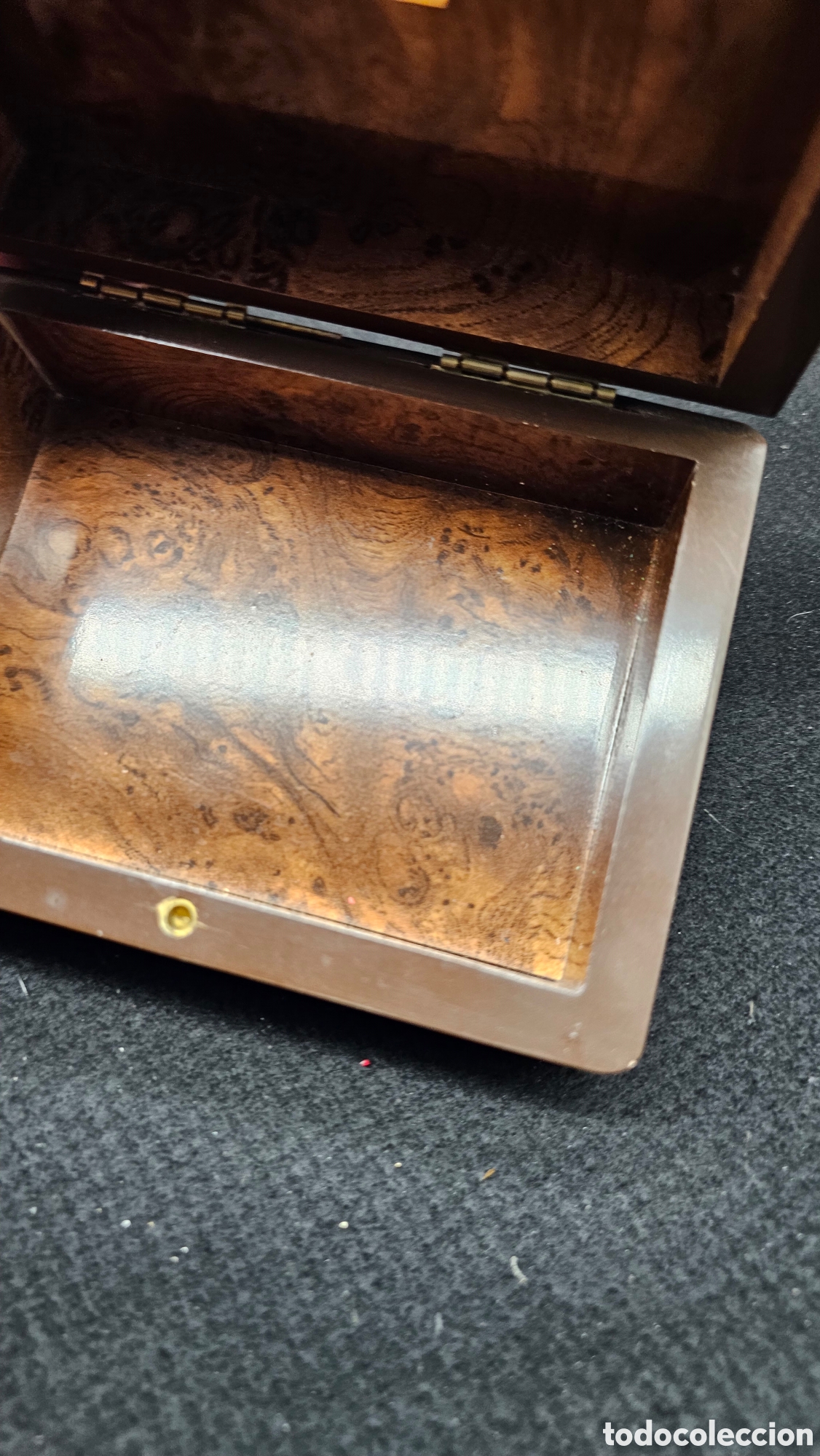 Herramientas de relojes: Caja de reloj Radiant - Foto 3
