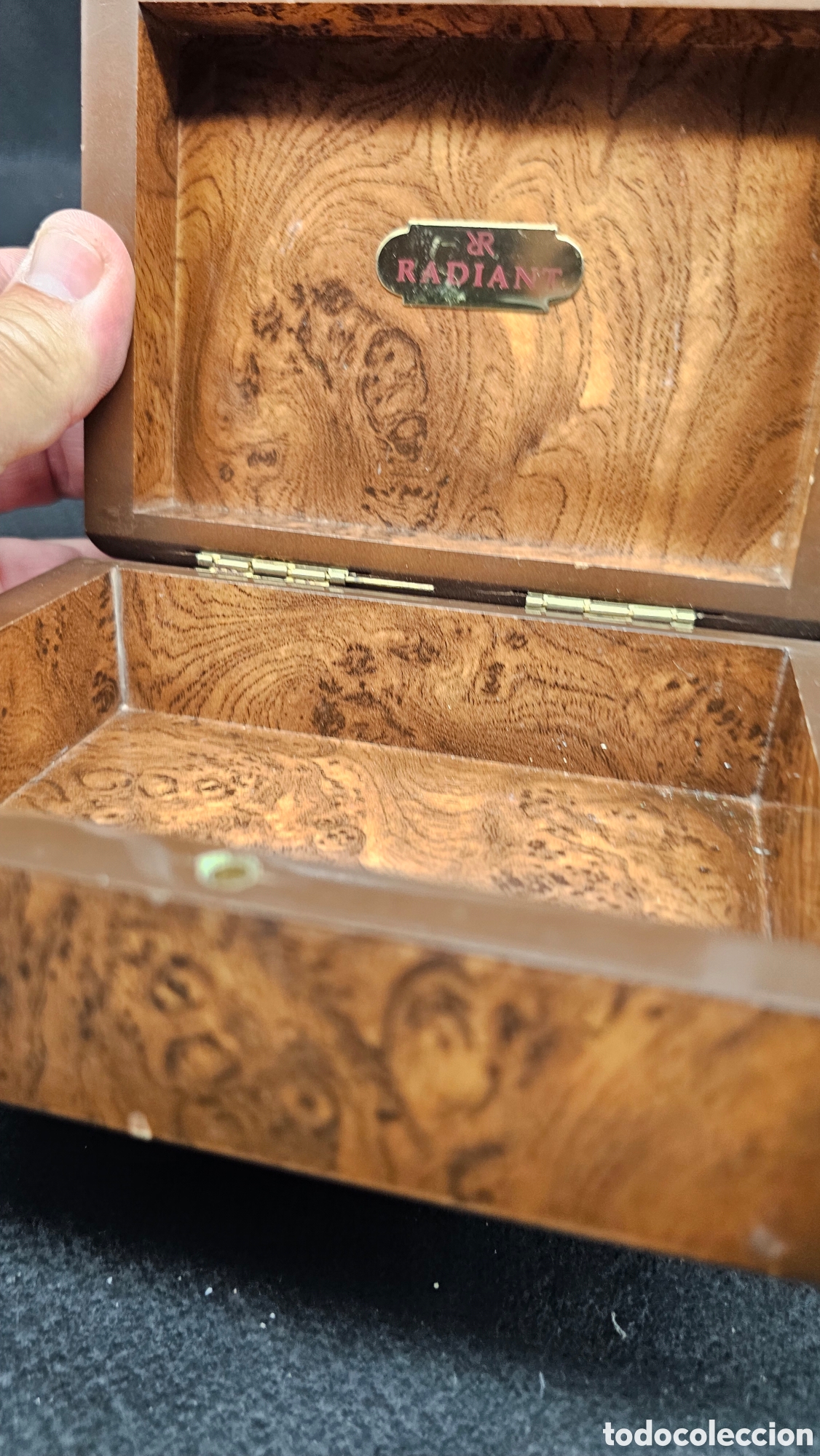 Herramientas de relojes: Caja de reloj Radiant - Foto 4