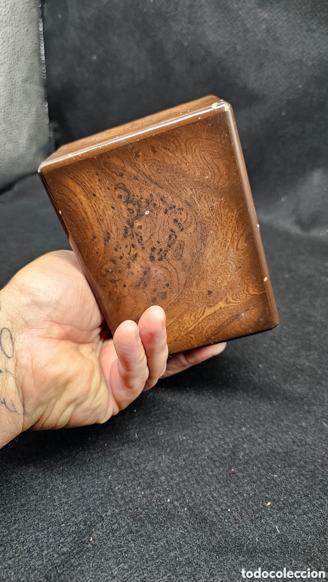 Herramientas de relojes: Caja de reloj Radiant - Foto 11