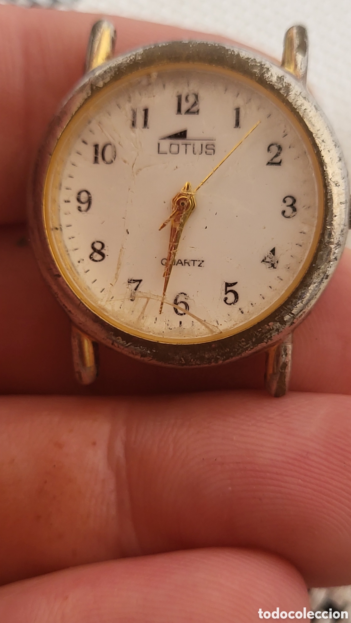 Relojes - Lotus: Reloj pulsera quartz Lotus