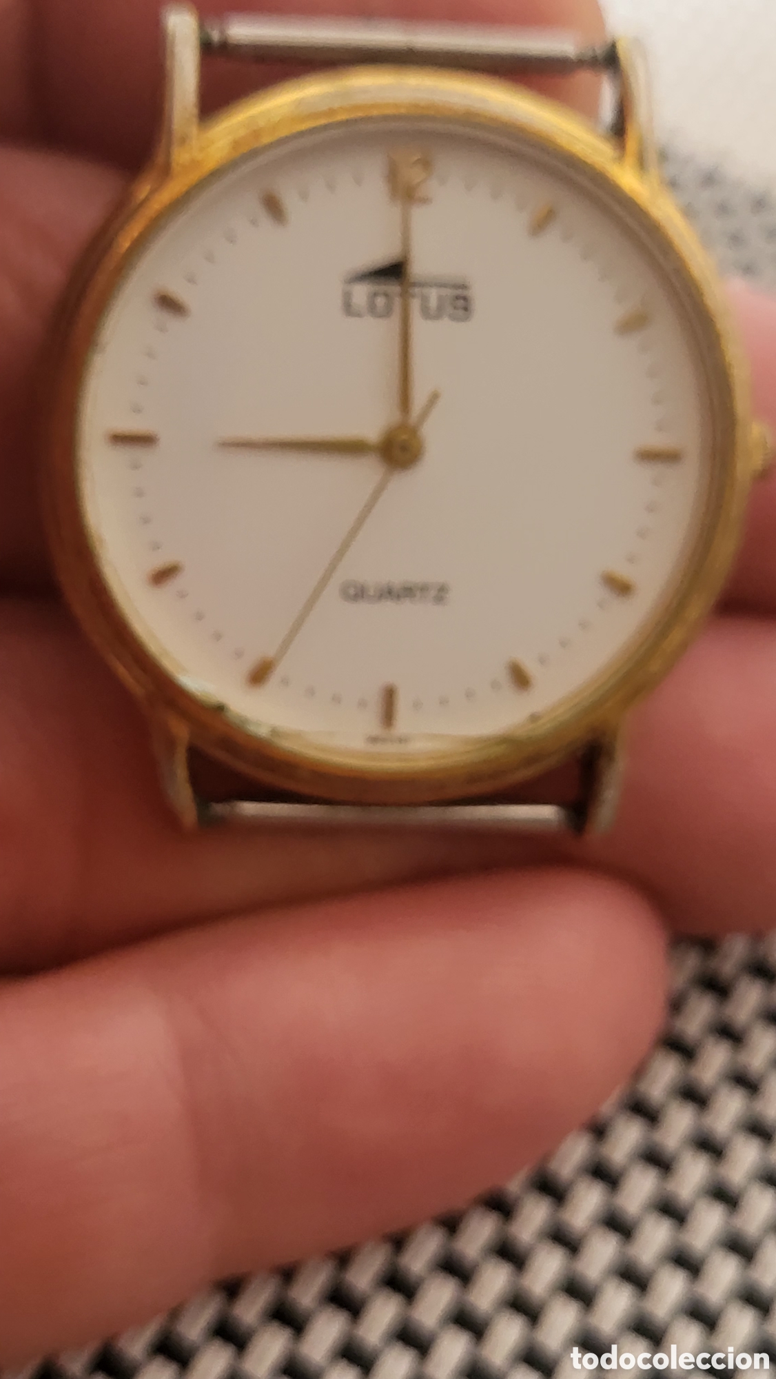 Relojes - Lotus: Reloj pulsera quartz Lotus