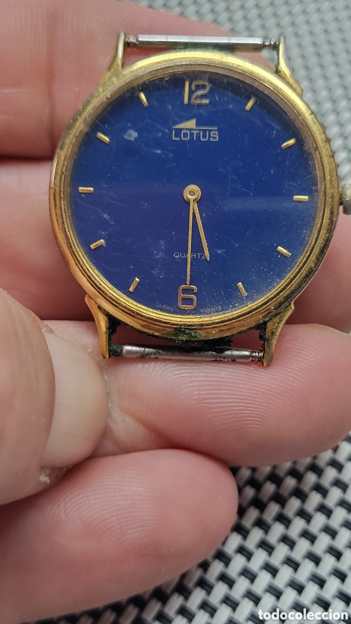 Relojes - Lotus: Reloj pulsera quartz Lotus