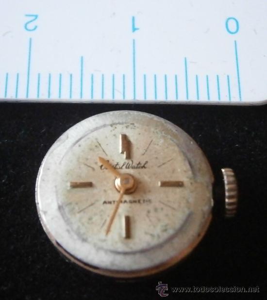 Spare Parts for Watches: Parte de reloj CRISTAL WACH, antimagnetic, swiss