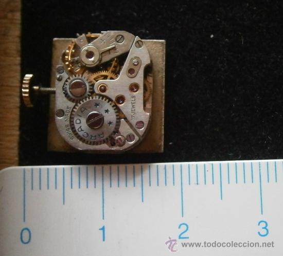 Recambios de relojes: Parte de reloj ARCADIA, swiss made - Foto 2