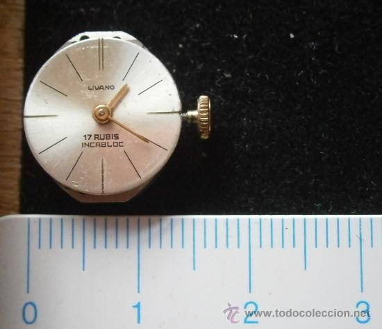 Pi&egrave;ces de rechange de montres et horloges: Parte de reloj LIVANO, incabloc