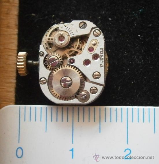Recambios de relojes: Parte de reloj FESTINA, antimagnetic - Foto 2