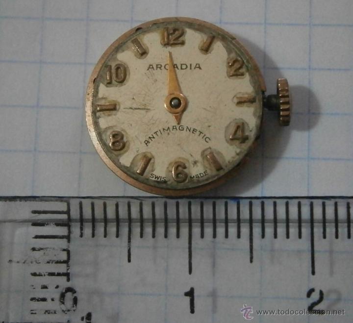 Spare Parts for Watches: Parte de reloj Arcadia.