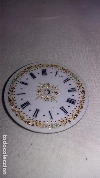 Recambios de relojes: ESFERA DE PORCELANA CON PRECIOSOS DIBUJOS DORADOS DE 3,36CM DE DI&Aacute;METRO