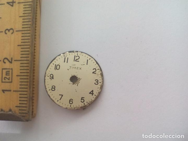 Recambios de relojes: Esfera de reloj Timex. Clock face watch. - Foto 1