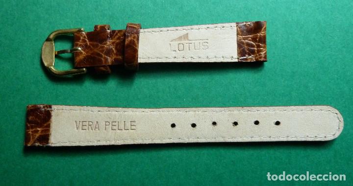 Recambios de relojes: correa Lotus de se&ntilde;ora. - Foto 2