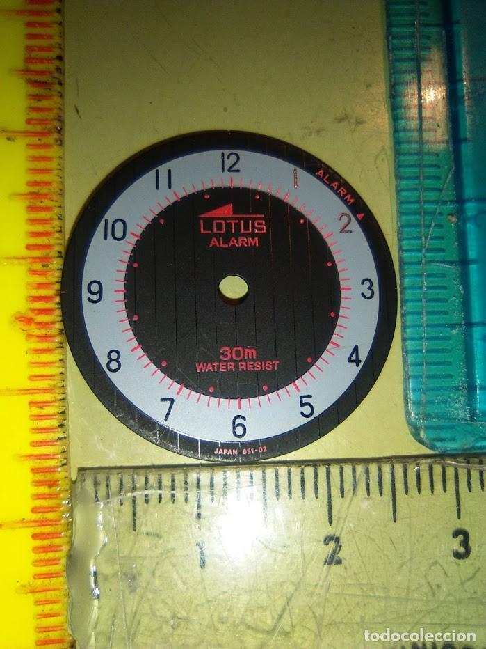 Pi&egrave;ces de rechange de montres et horloges: Esfera Lotus bicolor