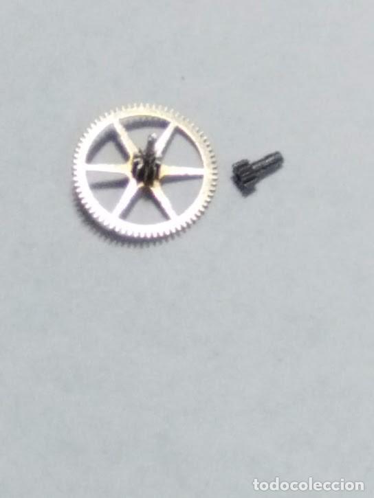 Recambios de relojes: FHF - ST - 69-21 - rda. centro+ca&ntilde;&oacute;n de minutos - (cd-2066)