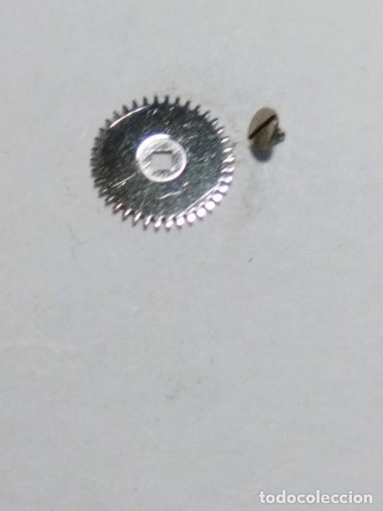 Recambios de relojes: FHF - ST - 69-21 -  rda. rochete -   (cd-2075)
