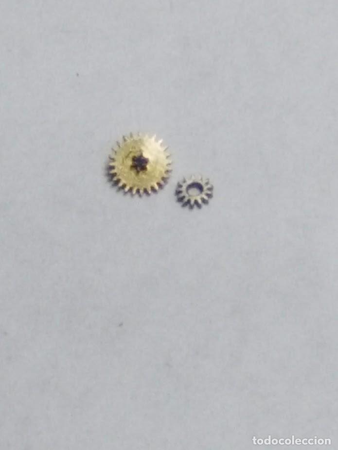 Spare Parts for Watches: Zenith - 57.8 - rda. minuter&iacute;a + pi&ntilde;&oacute;n transmisor - (cd-2207)