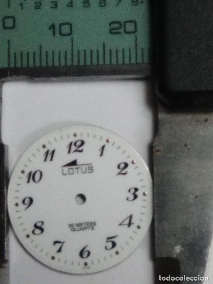 Spare Parts for Watches: Esfera Lotus con sus 2 patas - (cd-HZ29S)