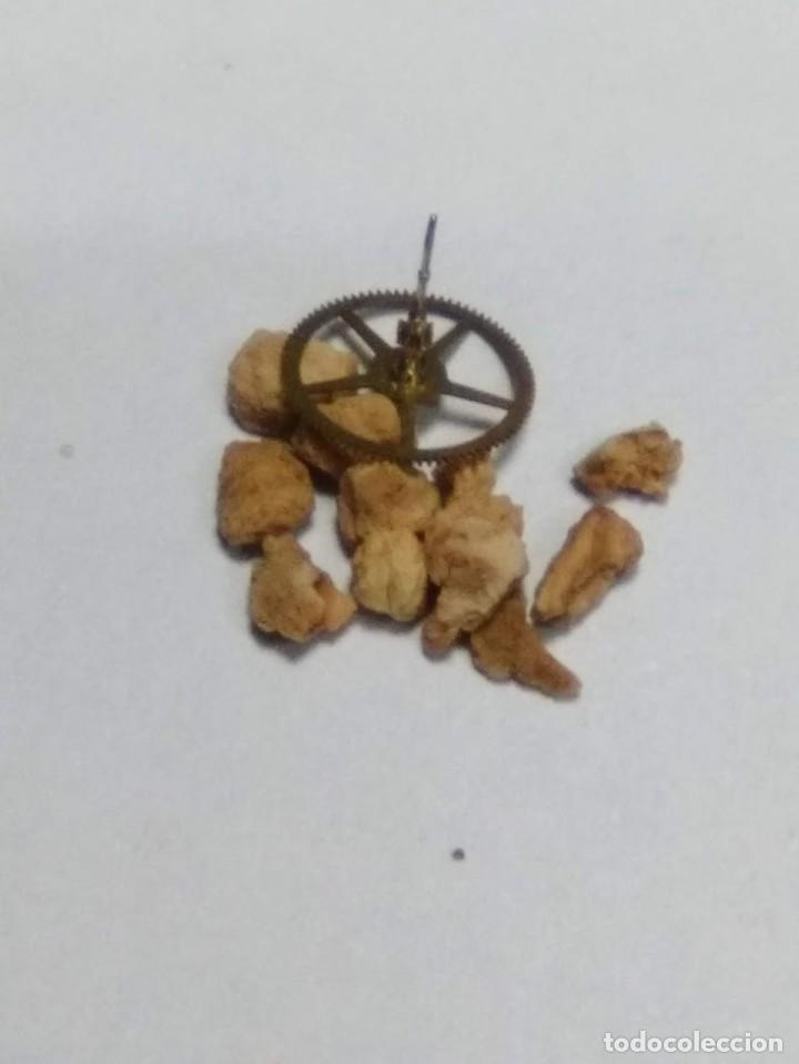 Pi&egrave;ces de rechange de montres et horloges: ES - 55 - rda. de segundero central - (cd-5925)