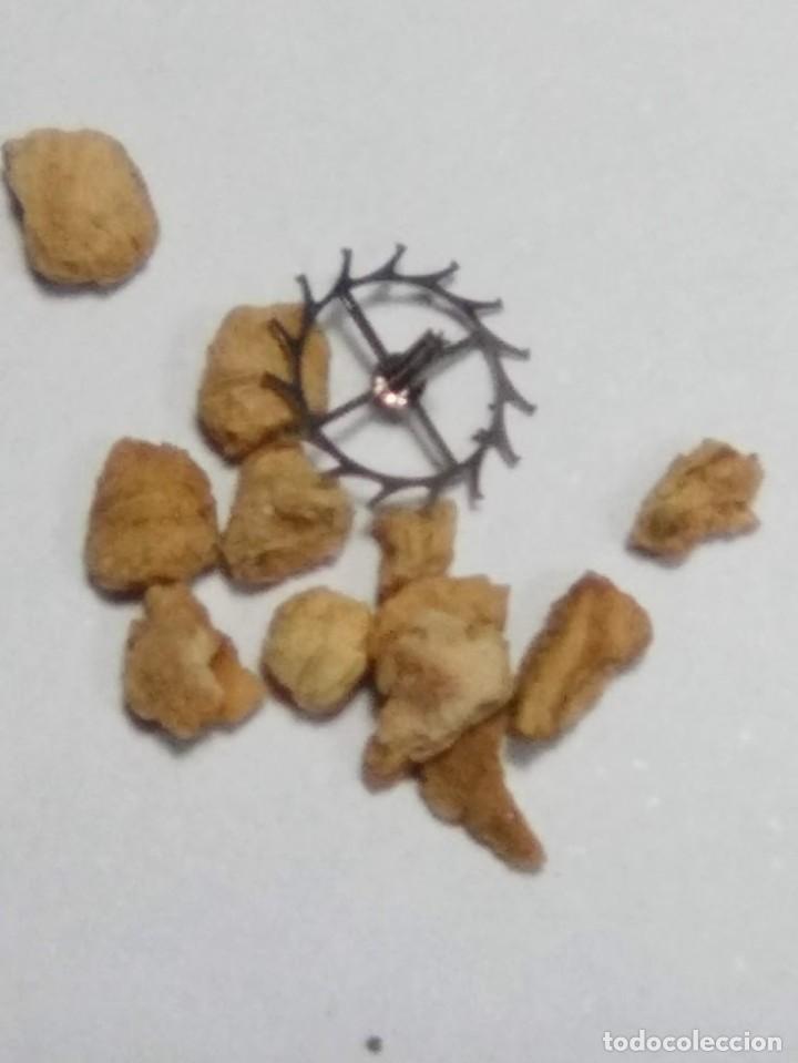 Pi&egrave;ces de rechange de montres et horloges: ES - 55 - rda. escape - (cd-5927)