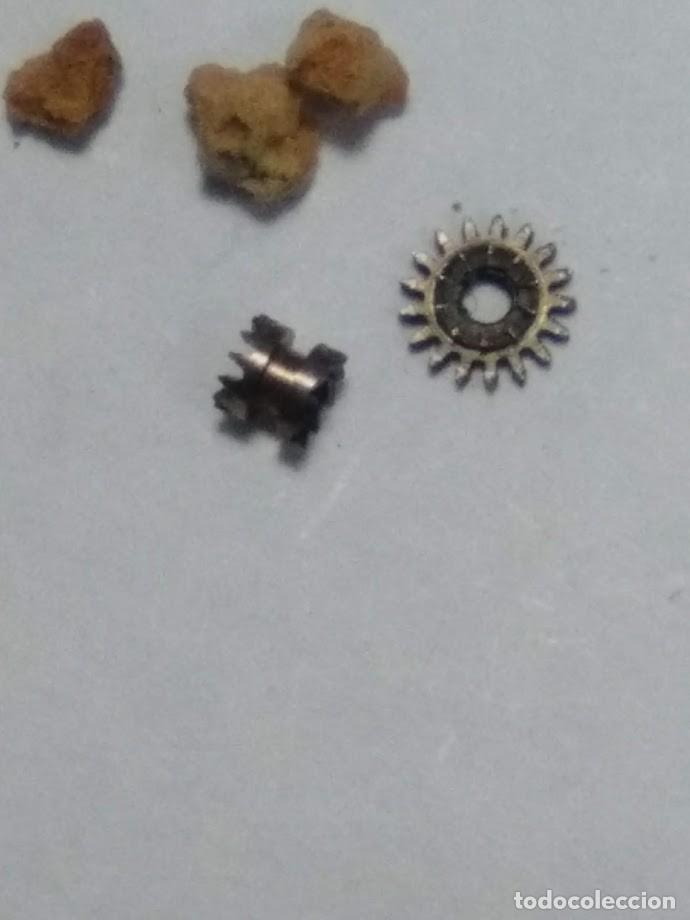 Spare Parts for Watches: Felsa - 233 - pi&ntilde;ones de remontuar - (cd-5949)