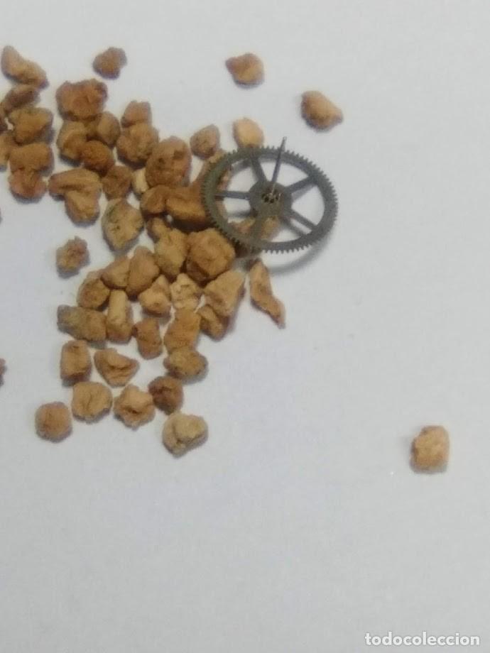 Recambios de relojes: Ricoh - cab. autic. - rda. segundero central - (cd-5956)
