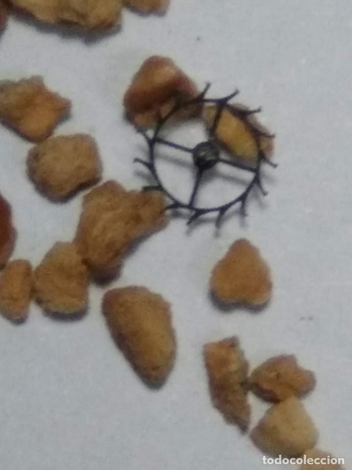 Spare Parts for Watches: FHF - 34 - 21 - rda. escape - (cd-5962)