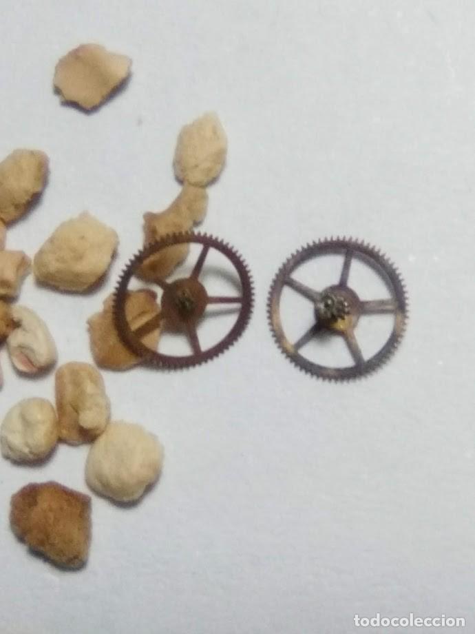 Recambios de relojes: ETA - 2510 - rdas. 1&ordf; y 2&ordf; - (cd-5967)