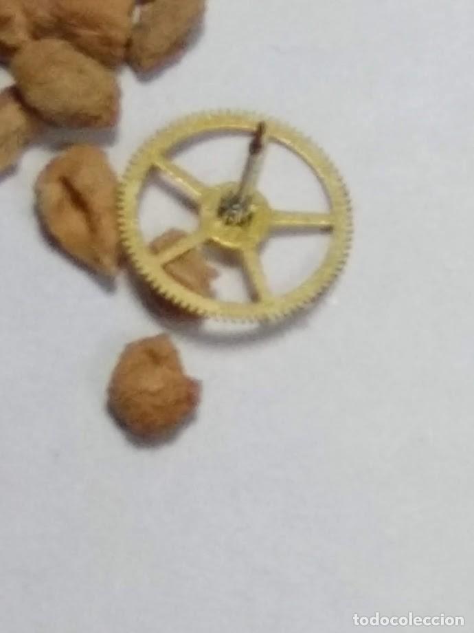 Spare Parts for Watches: AR / Enicar - 1670 - rda. segundero central - (cd-5970)