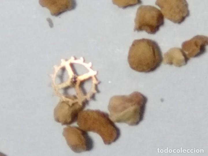 Recambios de relojes: EB - 8461/73 - rda. escape - (cd-6058)