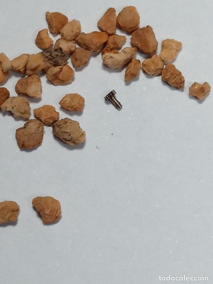 Spare Parts for Watches: AS - 1012 - ca&ntilde;&oacute;n de minutos - (cd-6071)