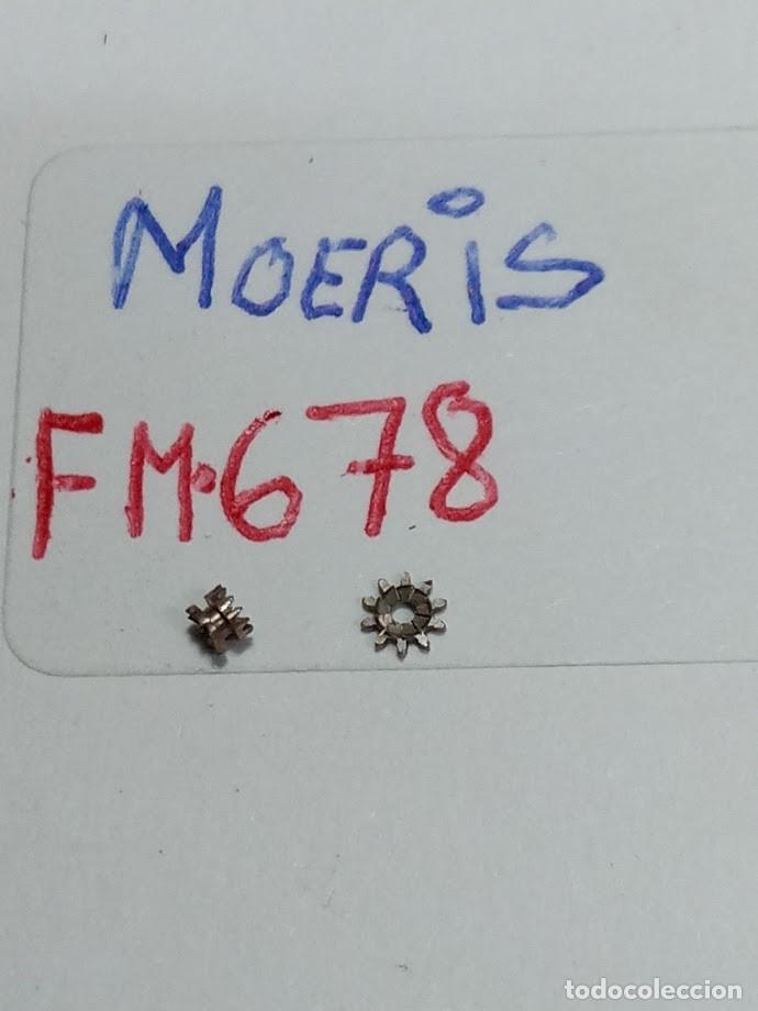 Recambios de relojes: MOERIS - (cd-6255) - Foto 1