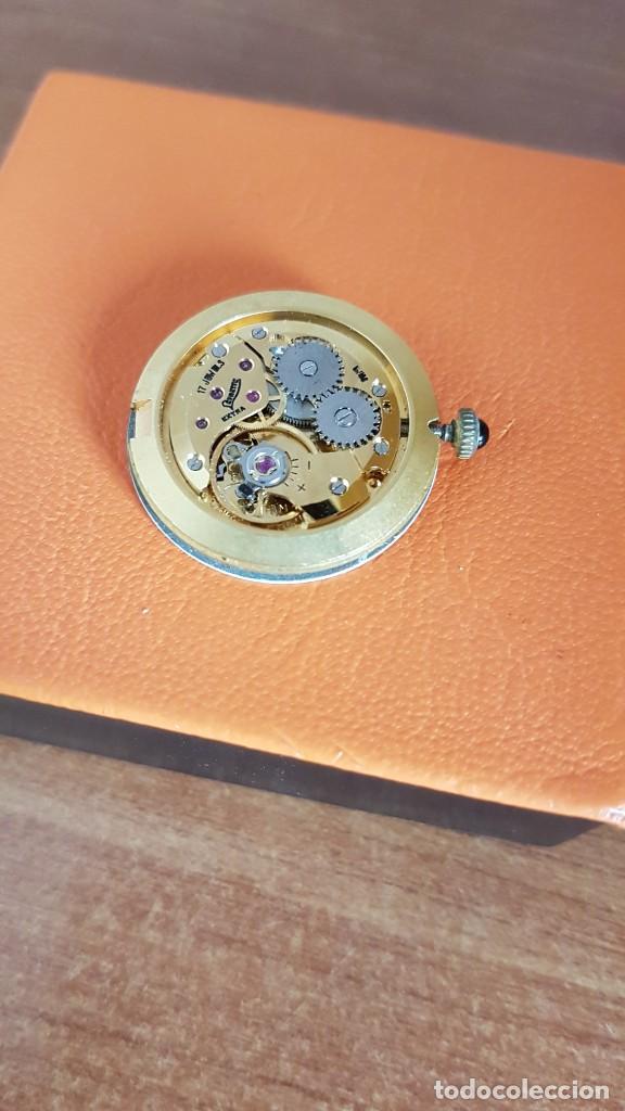 Recambios de relojes: M&aacute;quina para reloj SAVOY de cuerda manual incabloc de 17 rubis, esfera en blanca, corona chapada oro