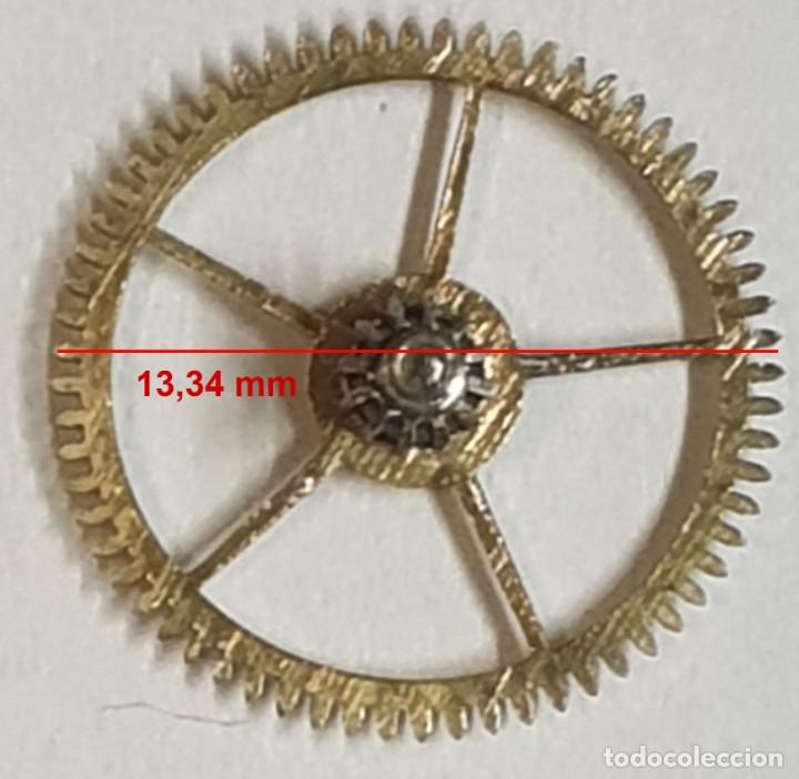 Recambios de relojes: Rueda dentada reloj - (LAS MEDIDAS EST&Aacute;N INDICADAS EN LAS FOTOS)