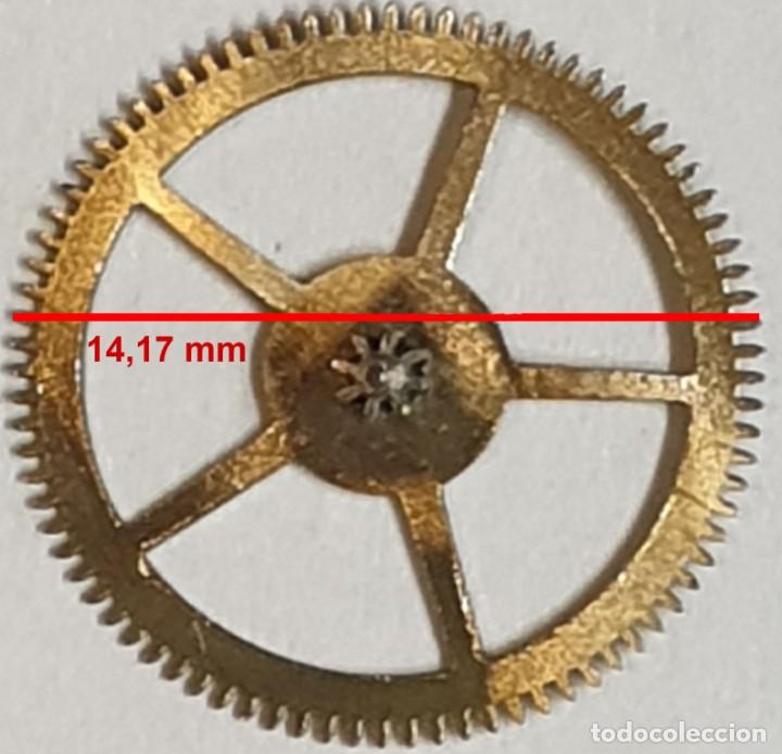 Spare Parts for Watches: Rueda dentada reloj - (LAS MEDIDAS EST&Aacute;N INDICADAS EN LAS FOTOS)