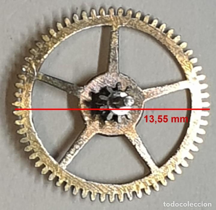 Spare Parts for Watches: Rueda dentada reloj - (LAS MEDIDAS EST&Aacute;N INDICADAS EN LAS FOTOS)