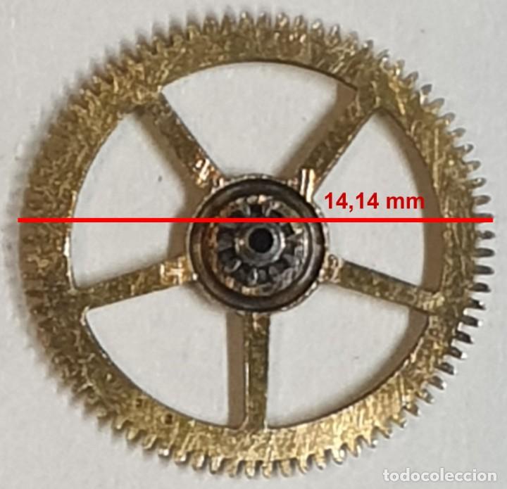 Spare Parts for Watches: Rueda dentada reloj - (LAS MEDIDAS EST&Aacute;N INDICADAS EN LAS FOTOS)