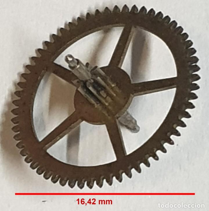 Recambios de relojes: Rueda dentada reloj - (LAS MEDIDAS EST&Aacute;N INDICADAS EN LAS FOTOS)