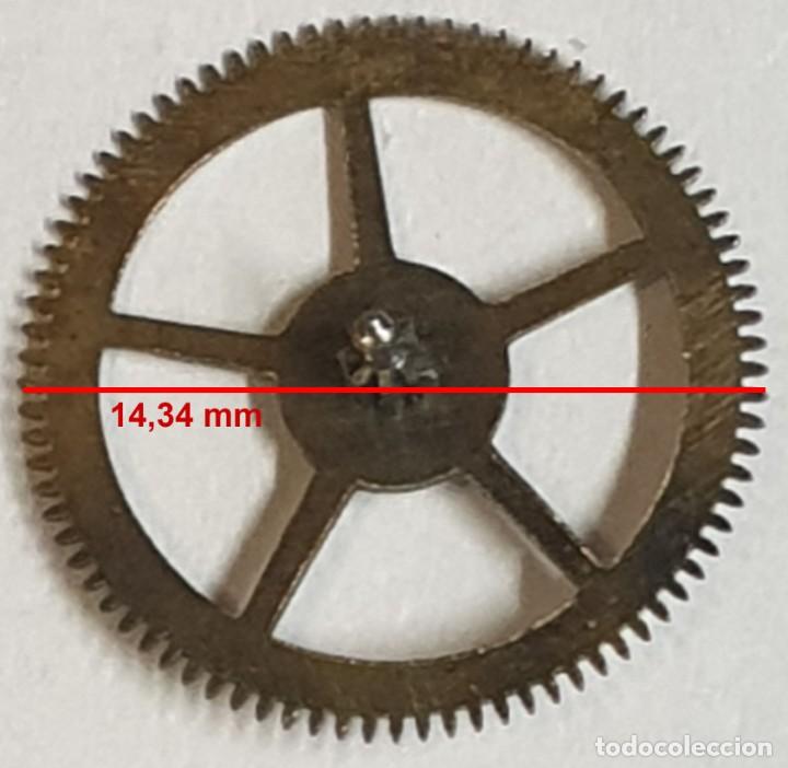 Spare Parts for Watches: Rueda dentada reloj - (LAS MEDIDAS EST&Aacute;N INDICADAS EN LAS FOTOS)