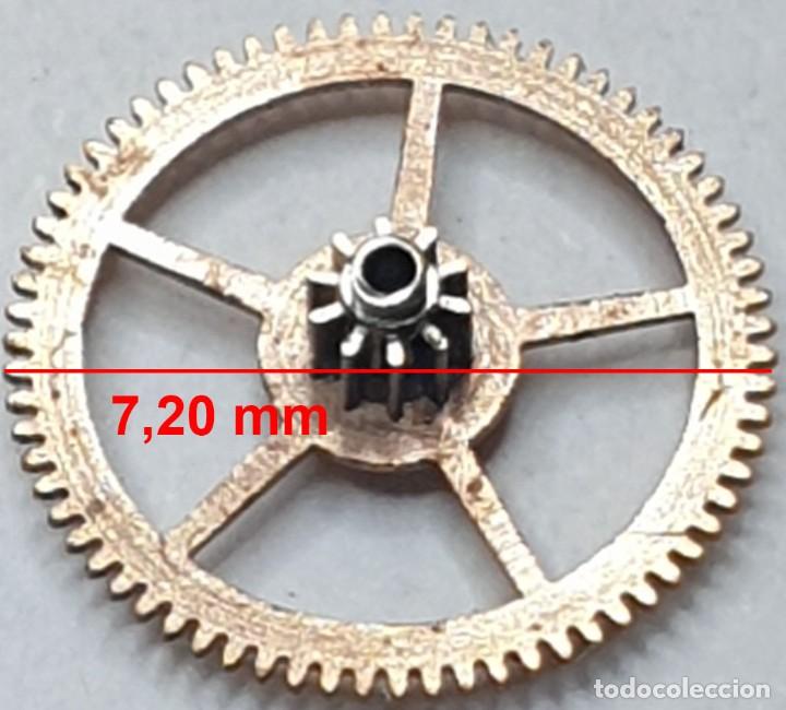 Recambios de relojes: ENGRANAJE RELOJ P 75 - X