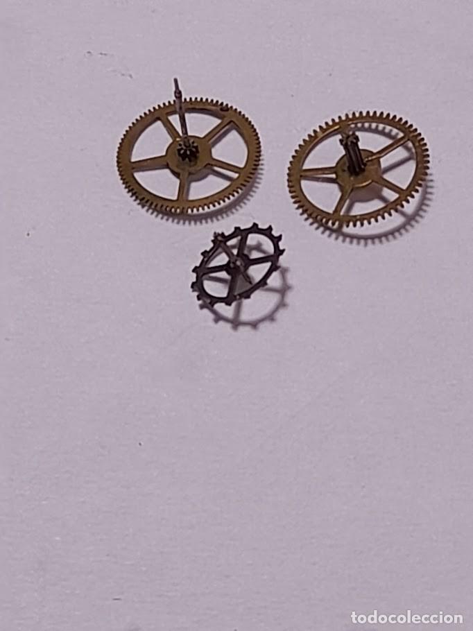 Recambios de relojes: EB - 1454 - (cd-6905B)