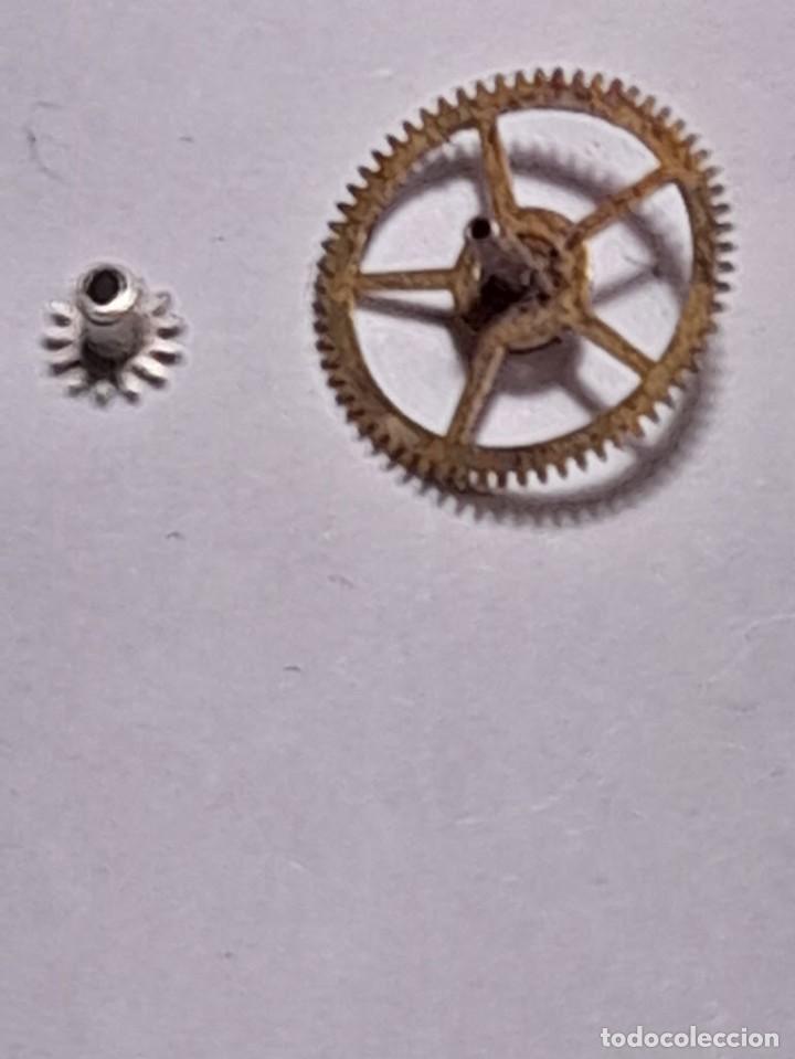 Spare Parts for Watches: Felsa - 4002 - rda. de centro y ca&ntilde;&oacute;n de minutos - (cd-6955A)