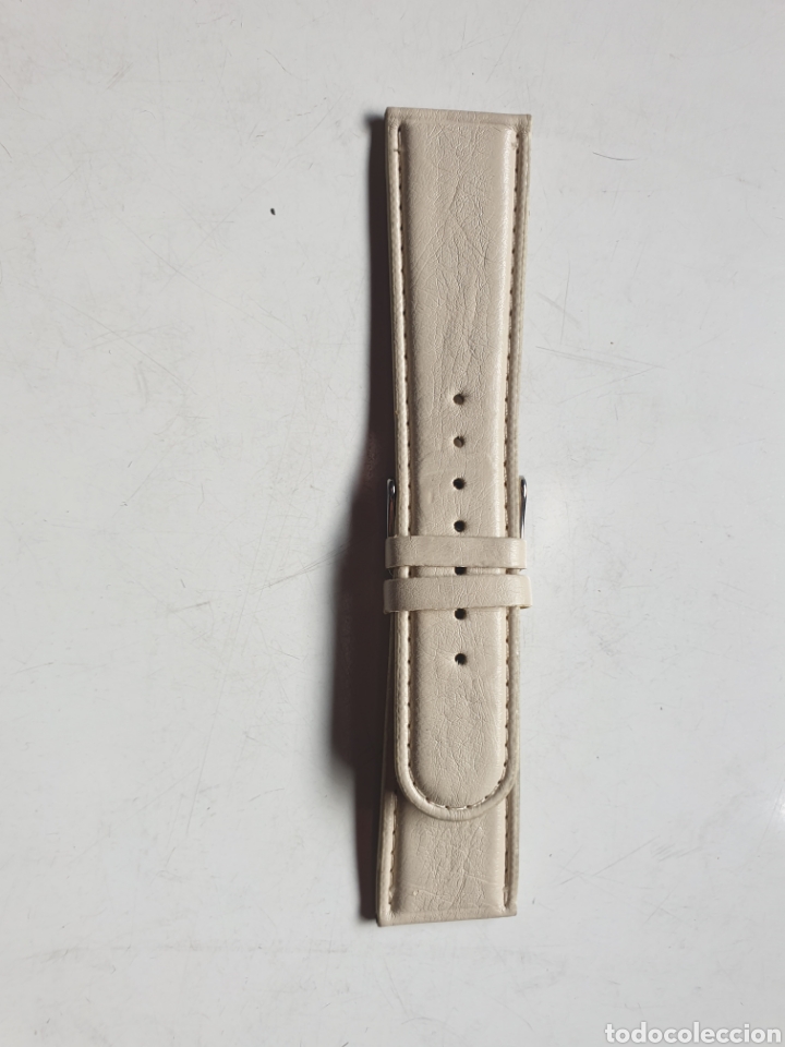 Pi&egrave;ces de rechange de montres et horloges: CORREA RELOJ DILOY TALLA 24