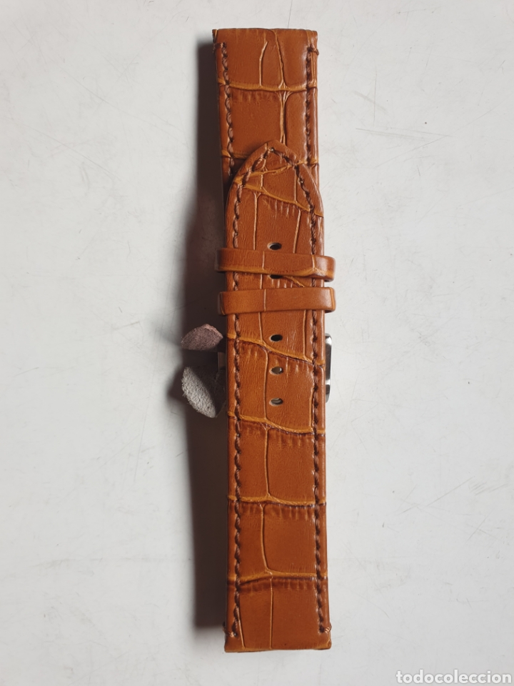 Recambios de relojes: CORREA RELOJ DILOY TALLA 24 - Foto 1