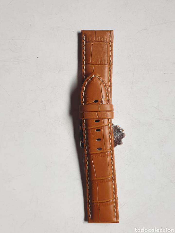 Pi&egrave;ces de rechange de montres et horloges: CORREA RELOJ DILOY TALLA 24